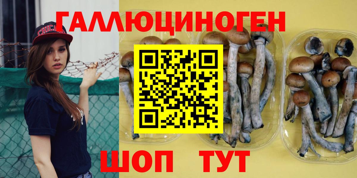 Шумерля  где можно купить наркотик  Вход с VPN  Псилоцибиновые грибы прущие грибы 